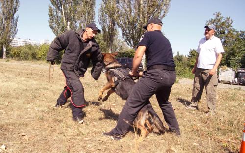 КП "Центр обращения с животными" благодарит всех, принявших участие в празднике, посвященному Всемирному дню бездомных животных!