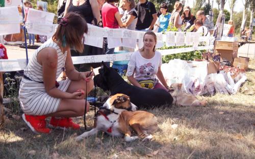 КП "Центр обращения с животными" благодарит всех, принявших участие в празднике, посвященному Всемирному дню бездомных животных!