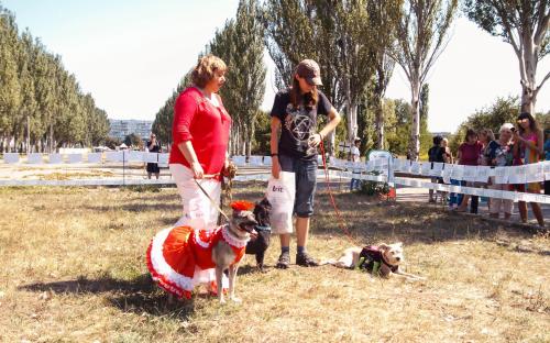 КП "Центр обращения с животными" благодарит всех, принявших участие в празднике, посвященному Всемирному дню бездомных животных!