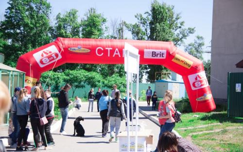 Самый масштабный в Украине пробег людей вместе с собаками