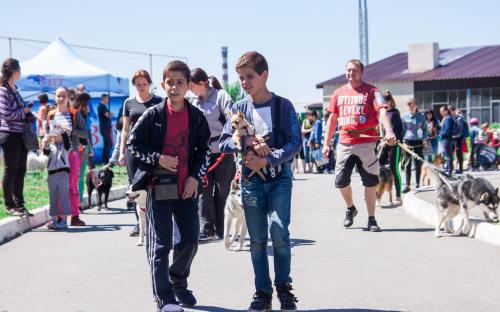 Самый масштабный в Украине пробег людей вместе с собаками