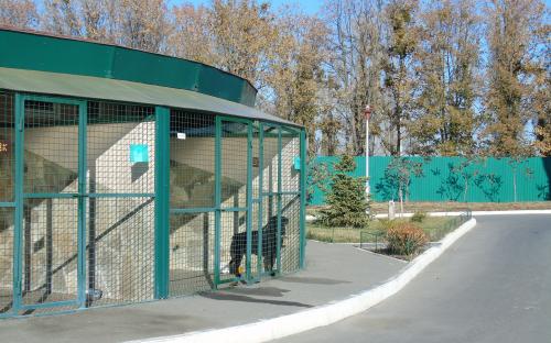 Харьковский приют для бездомных животных