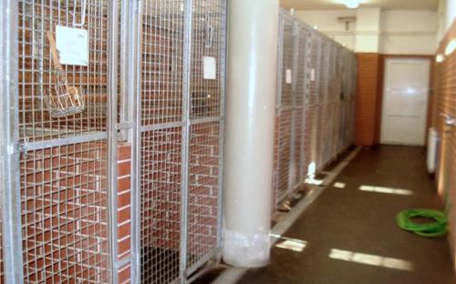 Вид на утепленную часть вольеров для собак