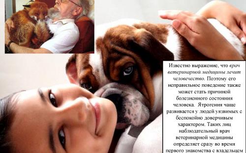 Ятрогения в ветеринарной медицине