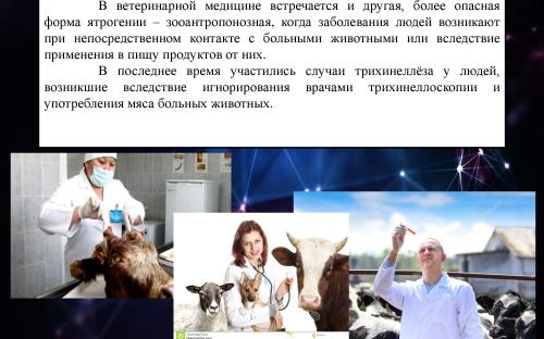 Ятрогения в ветеринарной медицине