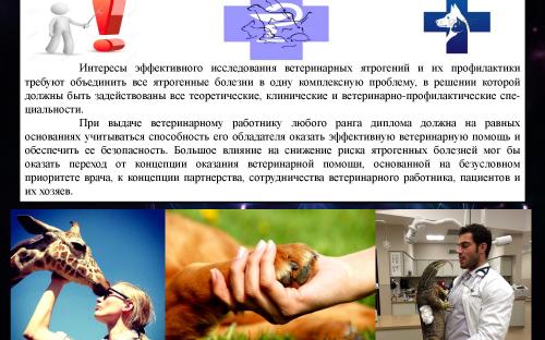 Ятрогения в ветеринарной медицине