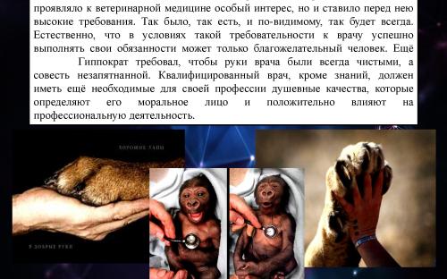 Ятрогения в ветеринарной медицине