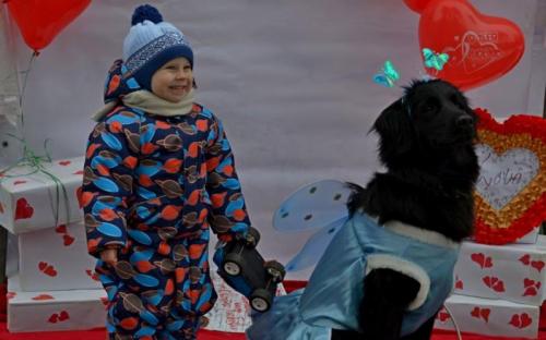 Лохматая команда из Центра обращения с животными праздновала День Святого Валентина в зооветеринарной академии