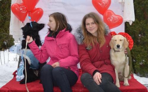 Лохматая команда из Центра обращения с животными праздновала День Святого Валентина в зооветеринарной академии