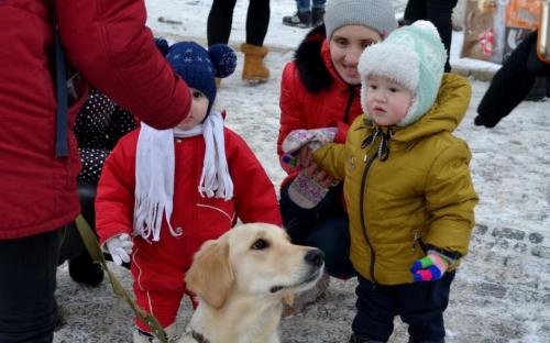 Лохматая команда из Центра обращения с животными праздновала День Святого Валентина в зооветеринарной академии