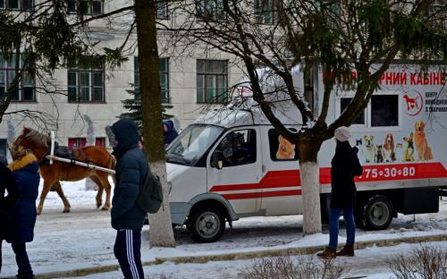 Лохматая команда из Центра обращения с животными праздновала День Святого Валентина в зооветеринарной академии