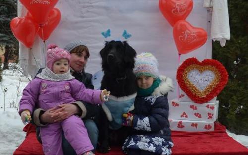 Лохматая команда из Центра обращения с животными праздновала День Святого Валентина в зооветеринарной академии