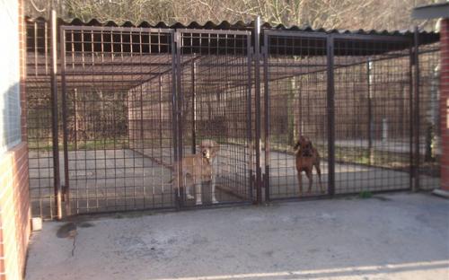 Вольеры для выгула собак
