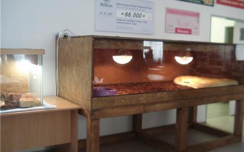 Есть террариум для экзотов