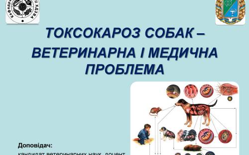 Токсокароз собак 