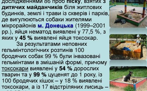 Токсокароз собак 