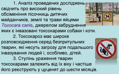 Токсокароз собак 