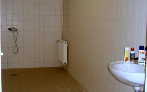 Моечная комната для собак