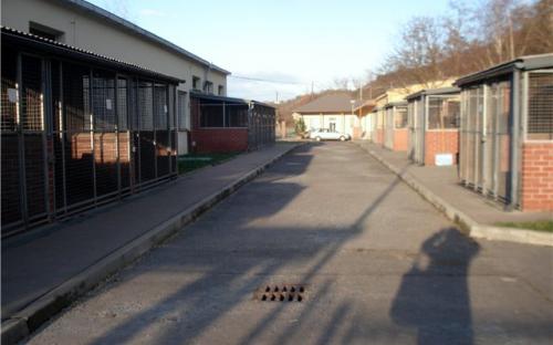 Вольеры для собак