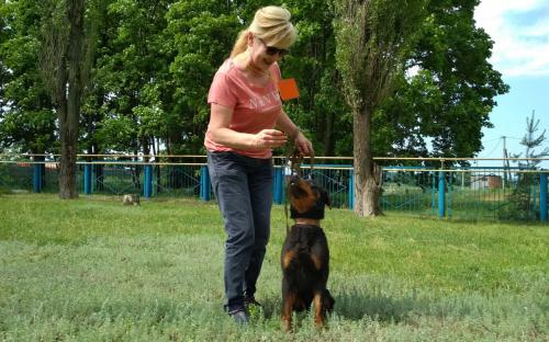 КП «Центр обращения с животными» провело «День открытых дверей» в новом формате