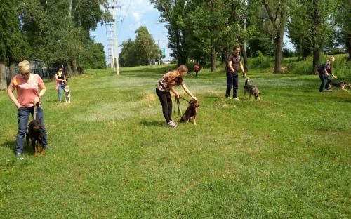 КП «Центр обращения с животными» провело «День открытых дверей» в новом формате