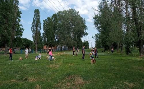 КП «Центр обращения с животными» провело «День открытых дверей» в новом формате