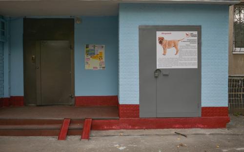 Граффити о животных нарисовали в pet-friendly дворе по ул. Библика, 1а