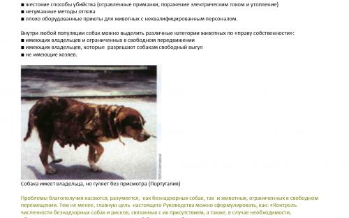 Международная коалиция по регулированию численности животных - компаньонов человека ICAM Руководство по гуманному регулированию численности собак 