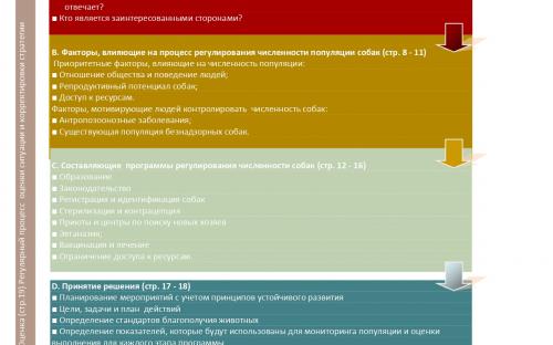 Международная коалиция по регулированию численности животных - компаньонов человека ICAM Руководство по гуманному регулированию численности собак 