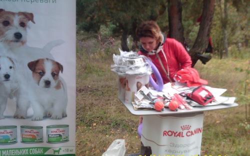 В поселке Жуковского прошел праздник  "Happy Dog"