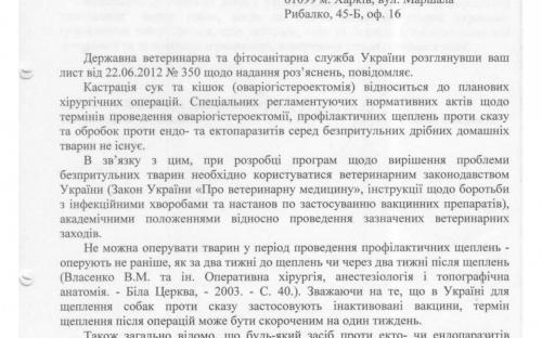 Сроки проведения ветеринарных процедур для бездомных собак