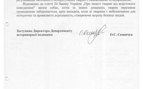 Сроки проведения ветеринарных процедур для бездомных собак