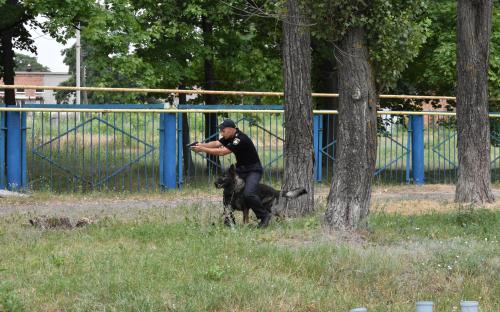 КП «Центр обращения с животными» провело традиционный, но необычный «День открытых дверей»