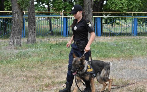 КП «Центр обращения с животными» провело традиционный, но необычный «День открытых дверей»