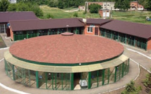 Помощь приюту для животных