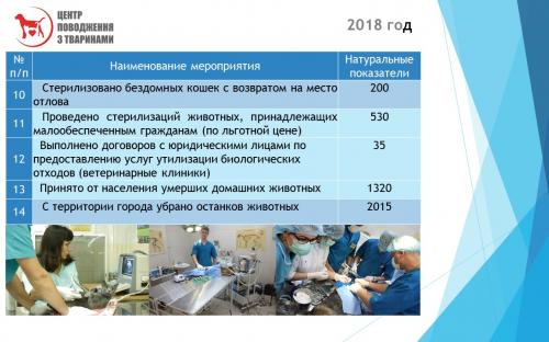 Отчет о результатах деятельности КП "Центр обращения с животными" за 2018 год