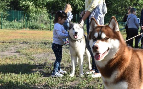 На Салтовке состоялось благотворительное мероприятие, посвященное питомцам Харьковского муниципального приюта для бездомных животных