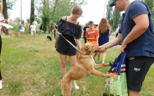 Каждое воскресенье Приют для содержания бездомных животных ждет всех желающих!