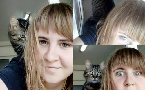 Все больше харьковчан приезжает выгулять питомцев Харьковского муниципального приюта бездомных животных