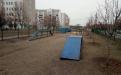 В Харькове стало еще больше оборудованных площадок для выгула и дрессировки собак