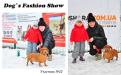 Костюмированный праздник для собак Dog`s Fashion Show