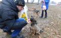 26 ноября в городском приюте для животных прошел традиционный воскресный День открытых дверей