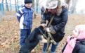 26 ноября в городском приюте для животных прошел традиционный воскресный День открытых дверей