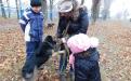 26 ноября в городском приюте для животных прошел традиционный воскресный День открытых дверей