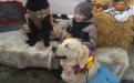 Приютские питомцы дарили любовь жителям Хорошево
