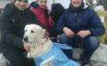 Приютские питомцы дарили любовь жителям Хорошево
