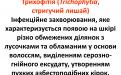 Распространение и видовой состав возбудителей дерматомикозов мелких домашних животных в. Харькове