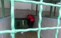 Репортаж. Утро в Приюте Центра обращения с животными