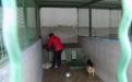 Репортаж. Утро в Приюте Центра обращения с животными
