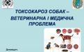 Токсокароз собак 